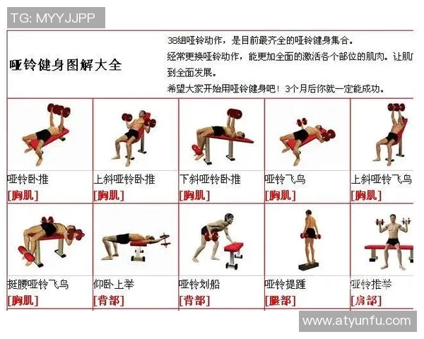 哑铃锻炼对减肥的效果分析及科学锻炼方法分享