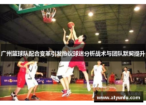 广州篮球队配合变革引发热议球迷分析战术与团队默契提升
