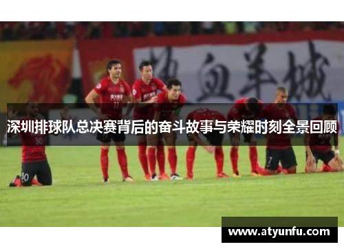 深圳排球队总决赛背后的奋斗故事与荣耀时刻全景回顾